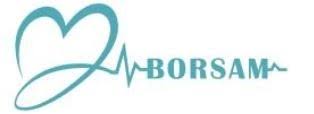 borsam logo